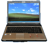 Toshiba L350 Laptop Running Windows XP